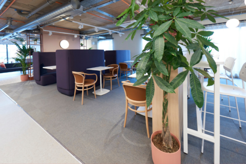 undefined, Gladstone Road, Exeter, EX1