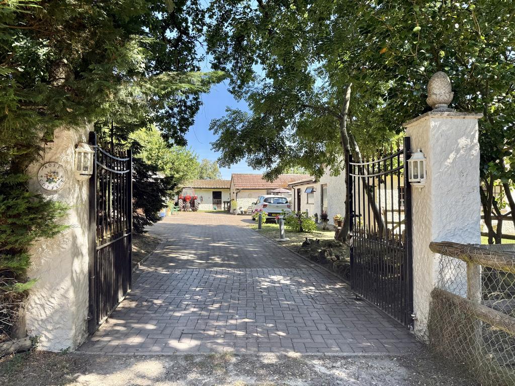 Driveway