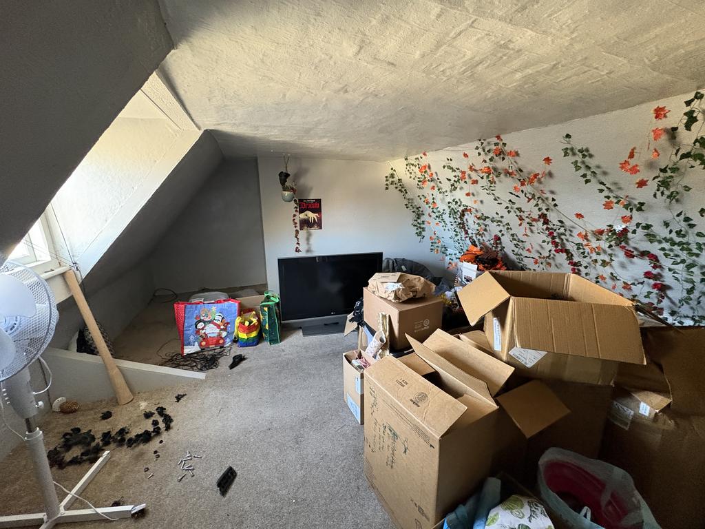 Loft room or Attic room