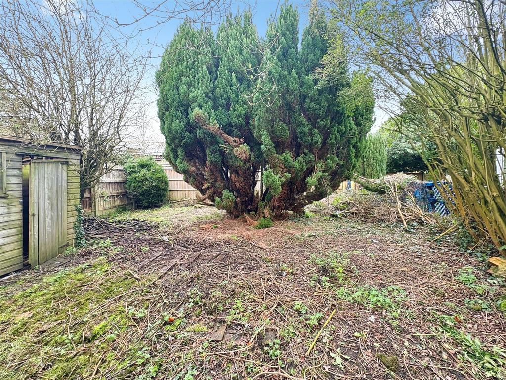 Back Garden