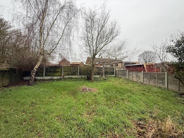 P T202602251628.jpg