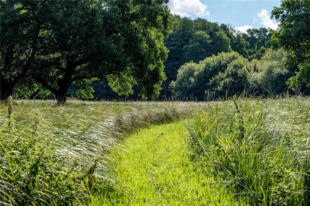 Meadow