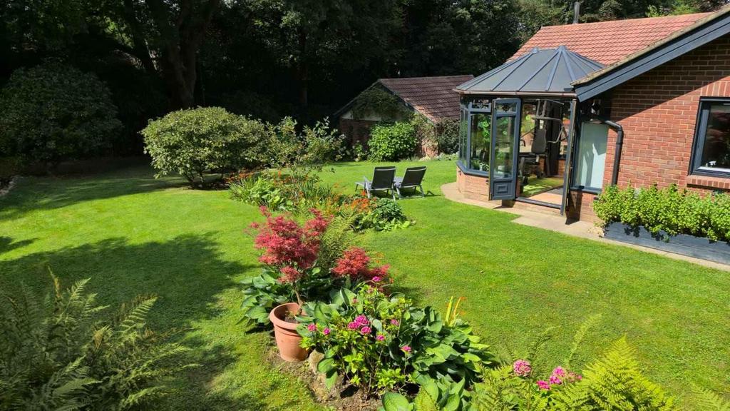 Garden 2.jpg
