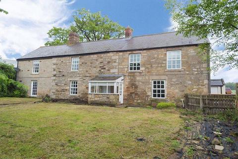 undefined, Morpeth, NE61