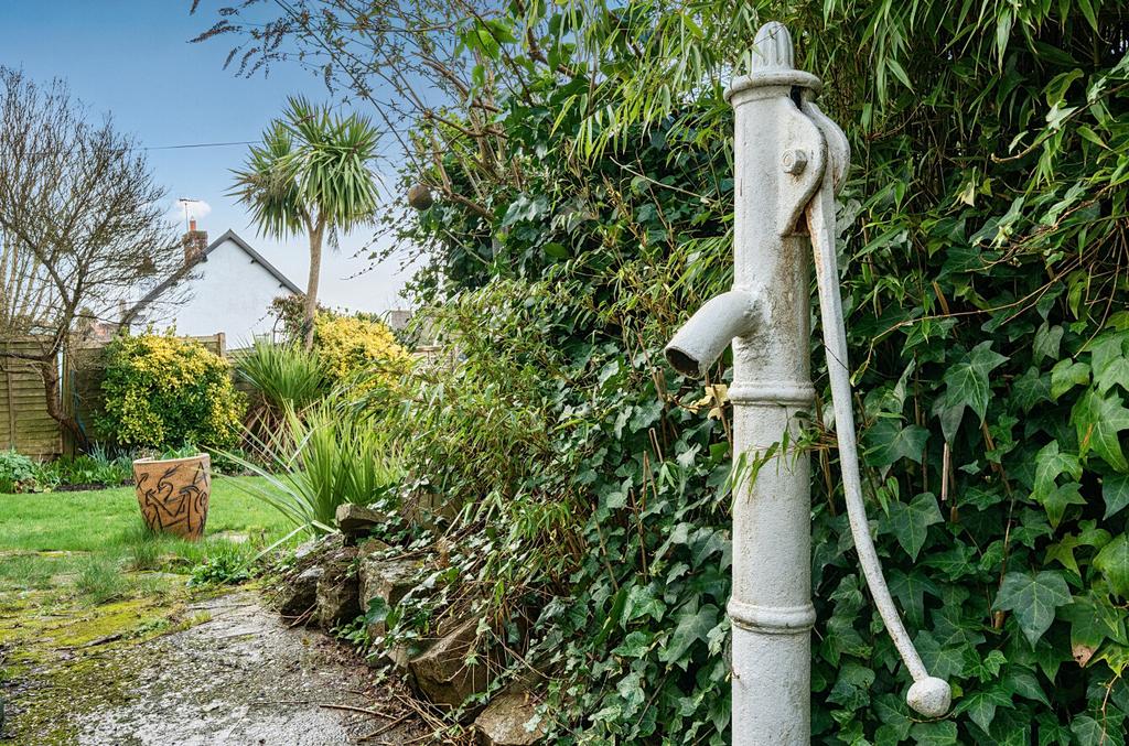 Pump and Well