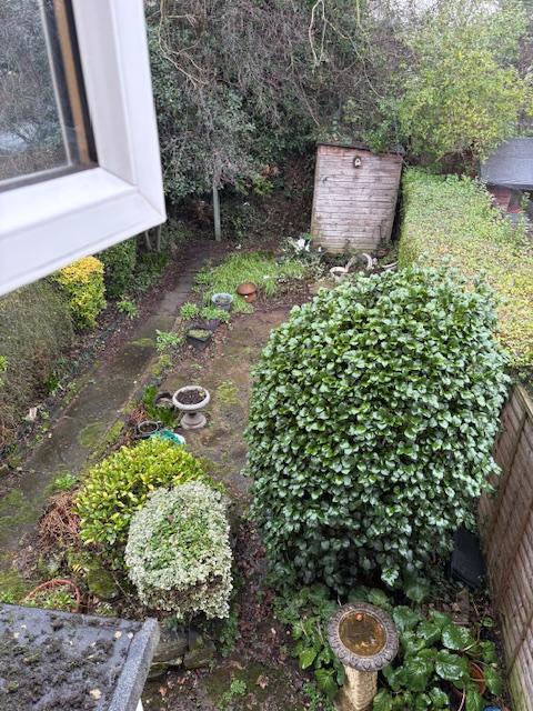 Image91