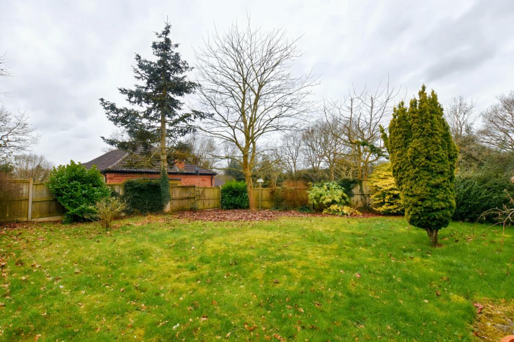 Rear Garden 2