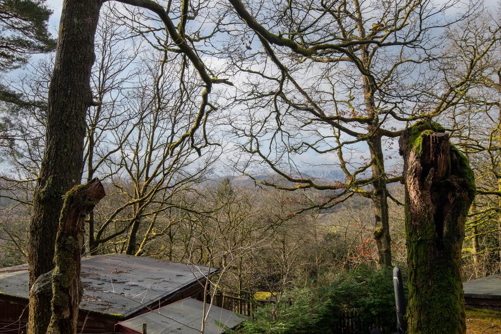 Neaum Crag