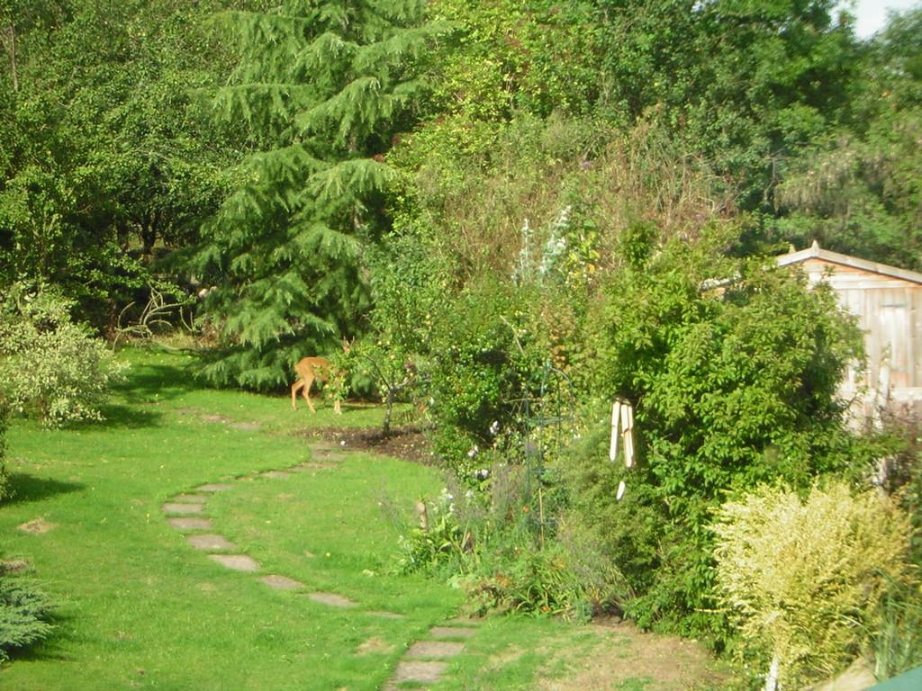 Vendor Summer Garden Photo