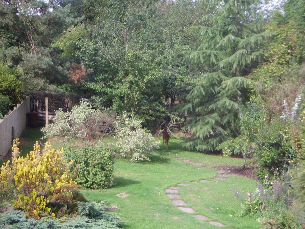Vendor Summer Garden Photo