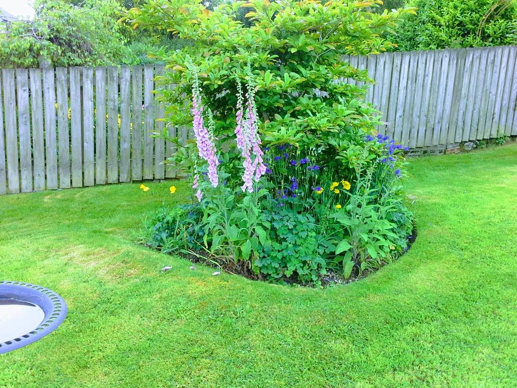 Vendor Summer Garden Photo