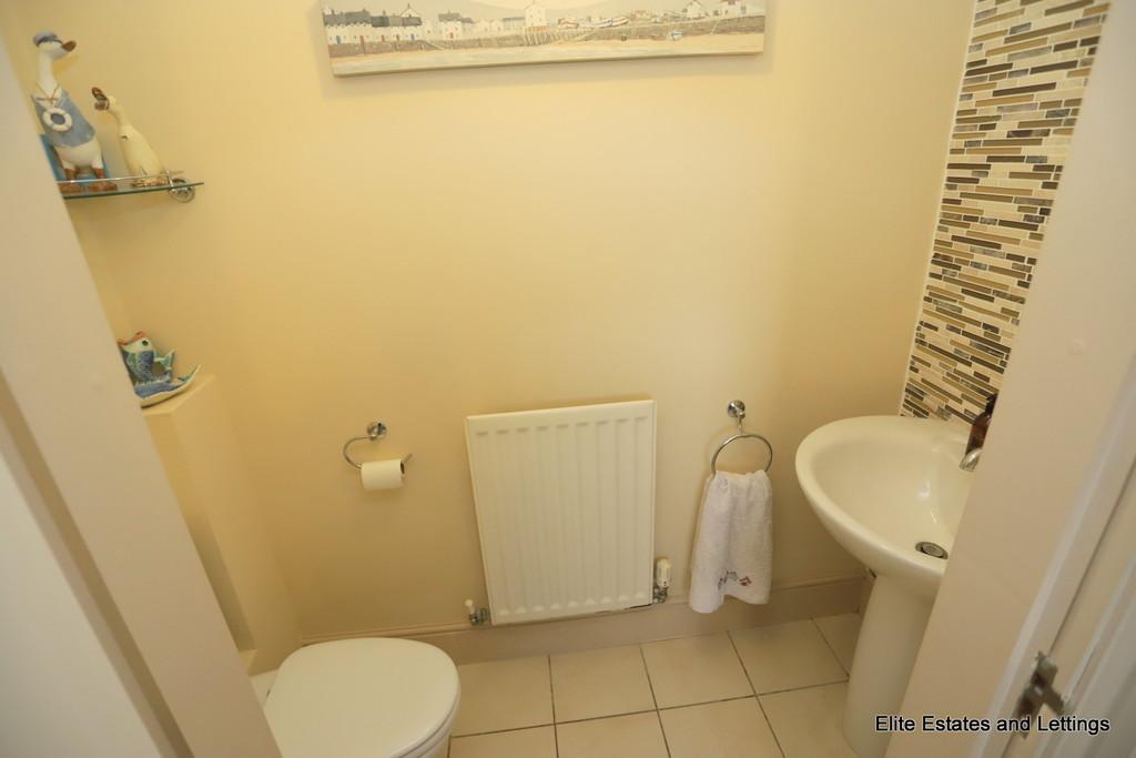 10 img 1768