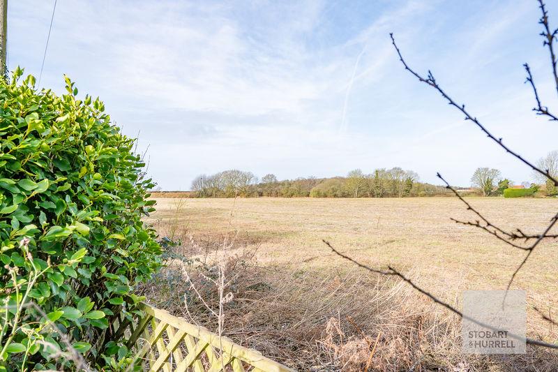 Field Views