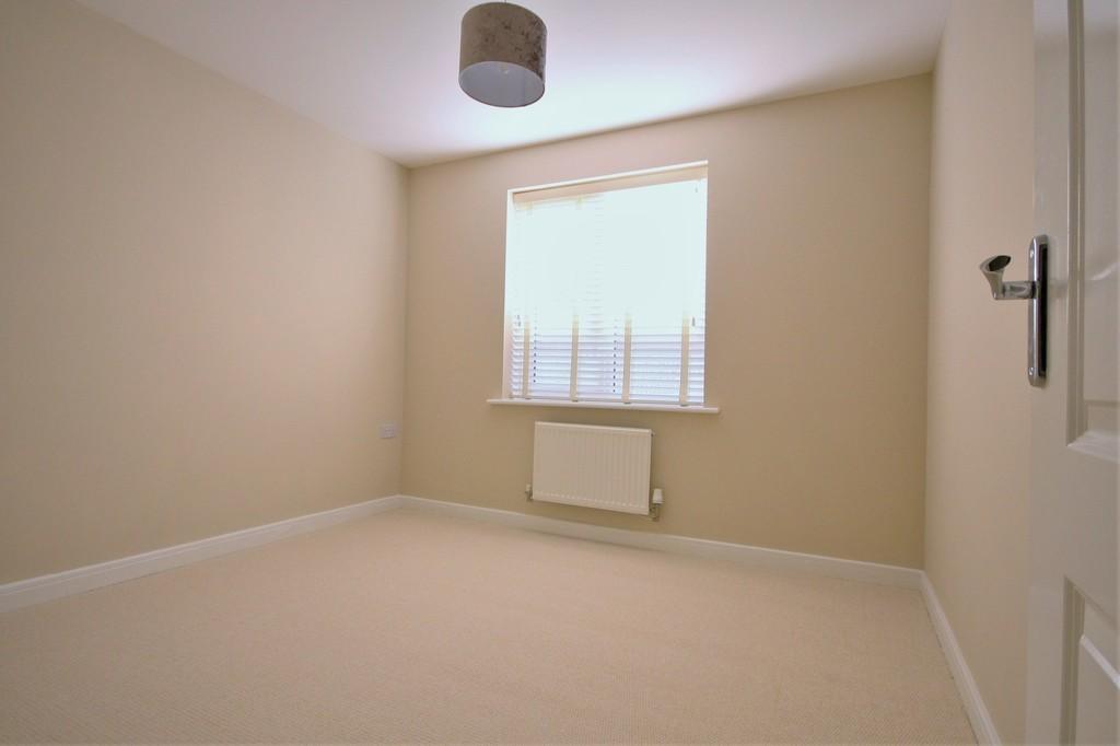 16 Coll Bed 2