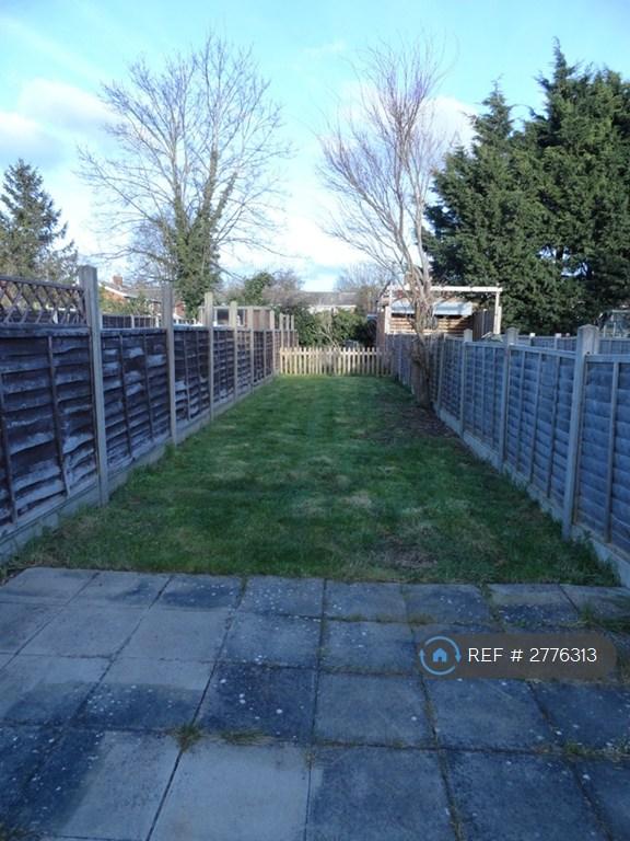 Back Garden