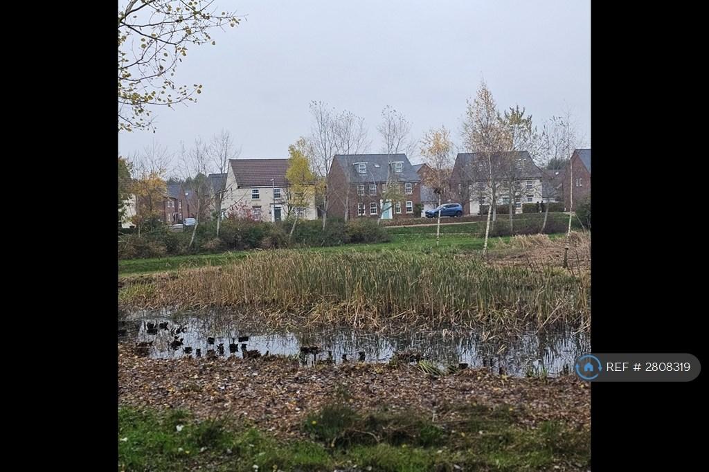 View Across Brook