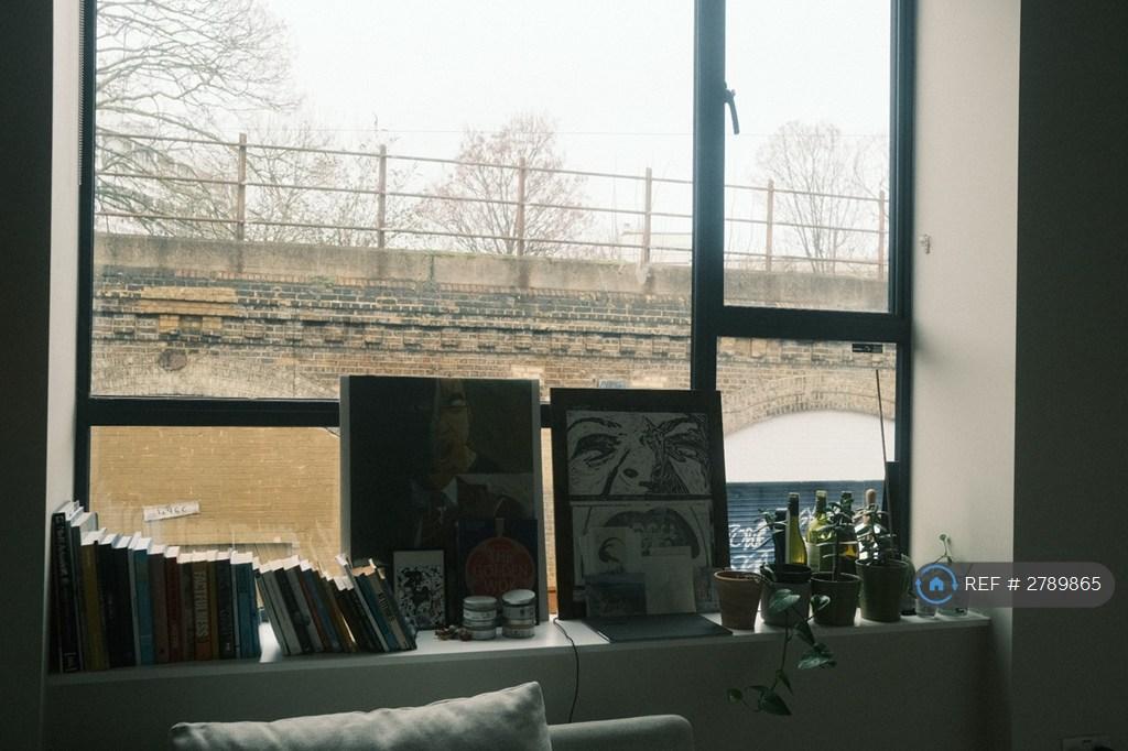 Large Windows