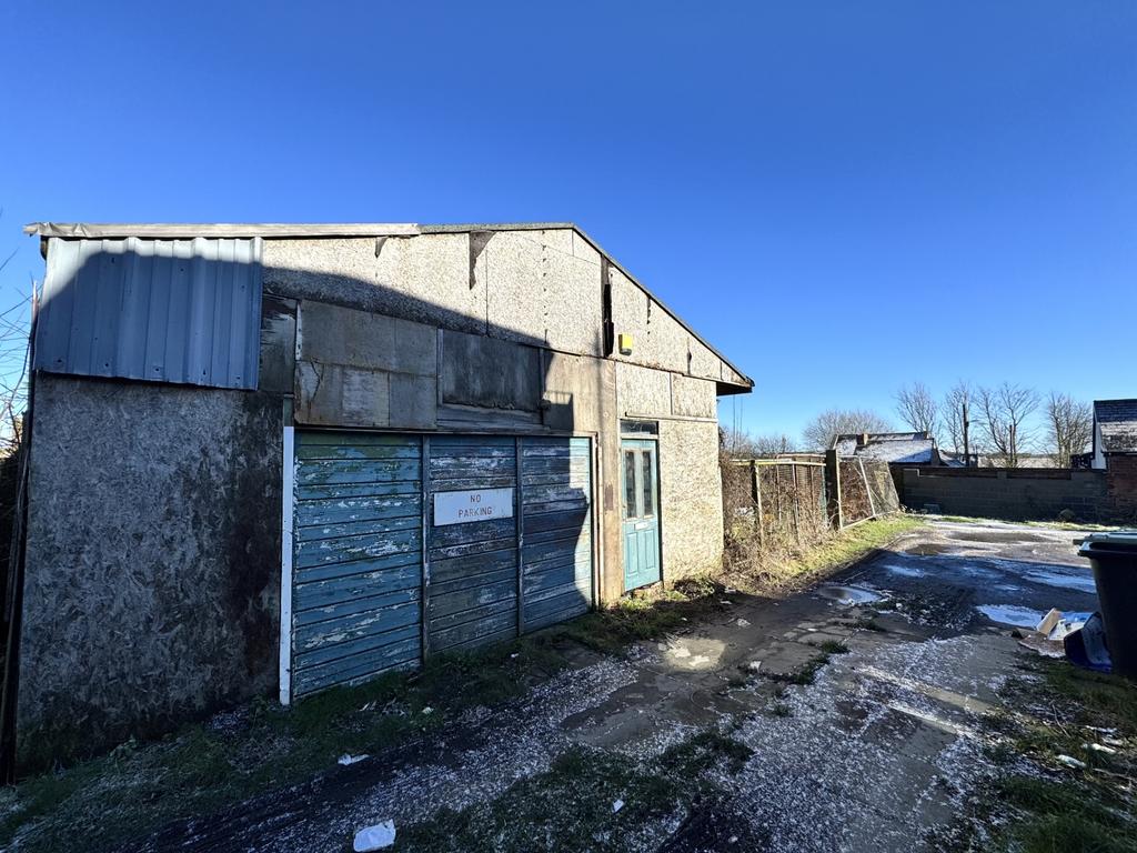 Img 3141