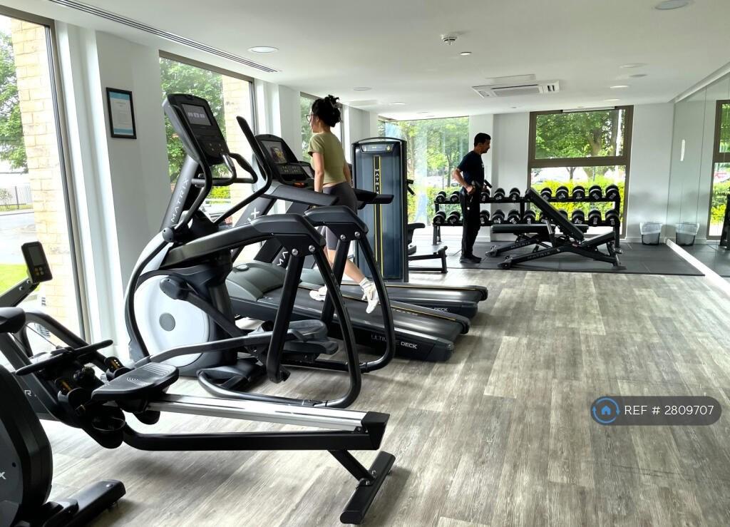 Building Gym