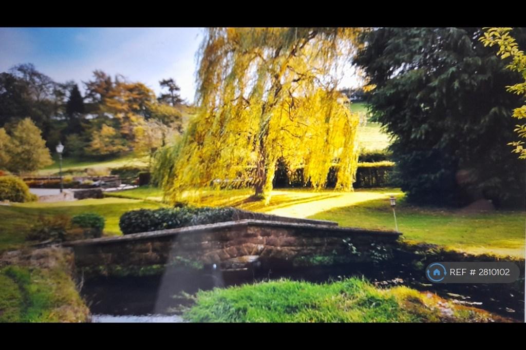 Stone Bridge By Pond