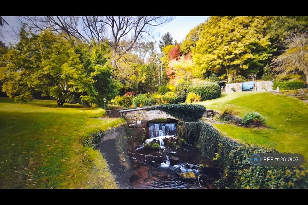 Pond &amp; Stream