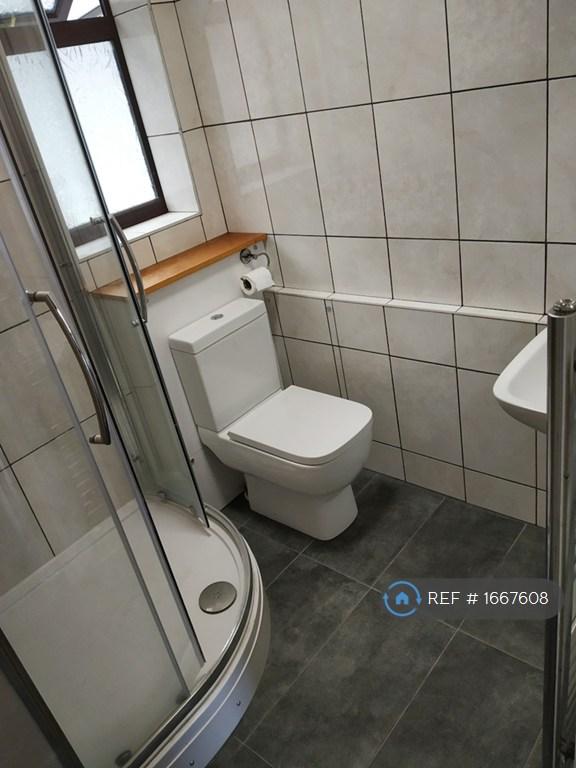 Shower Room Pic 1