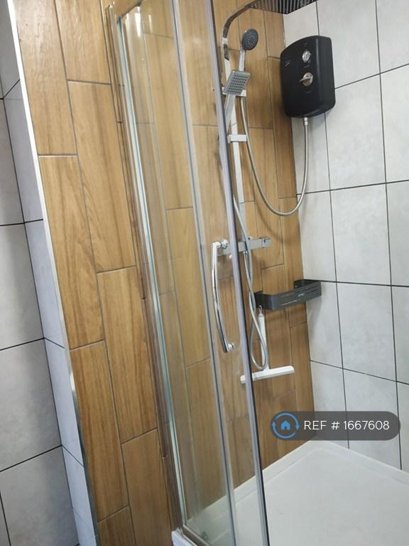 Shower Room Pic 2