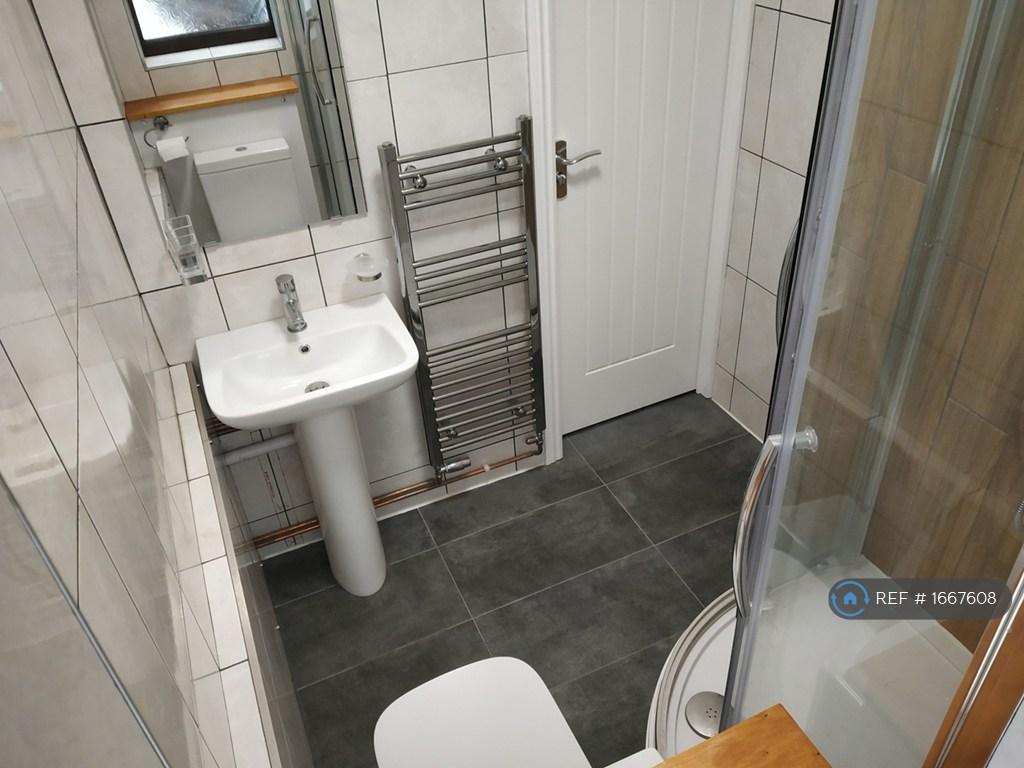 Shower Room Pic 3