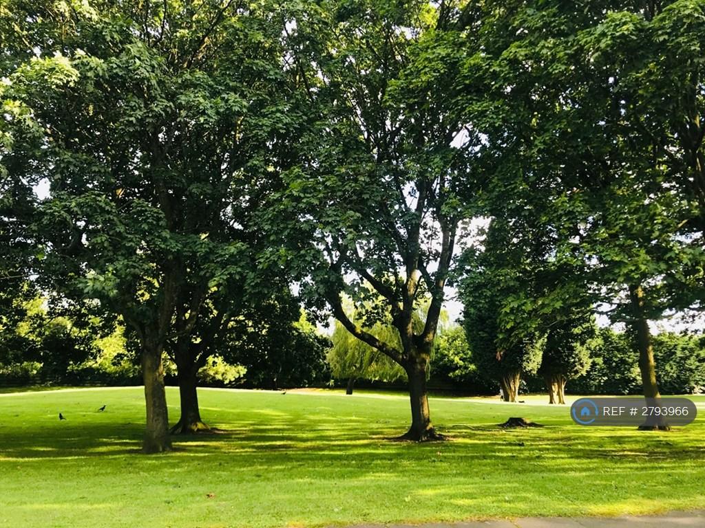 Communal Garden