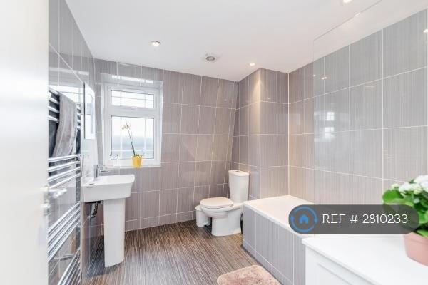 Huge, Modern Toilet