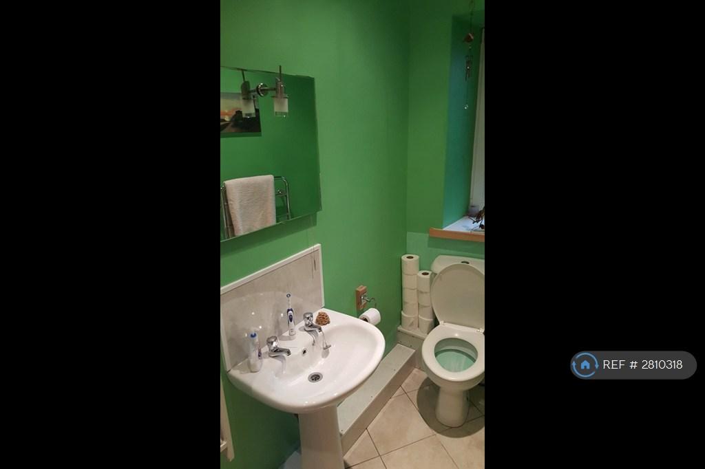 Shower Room And Bathroom