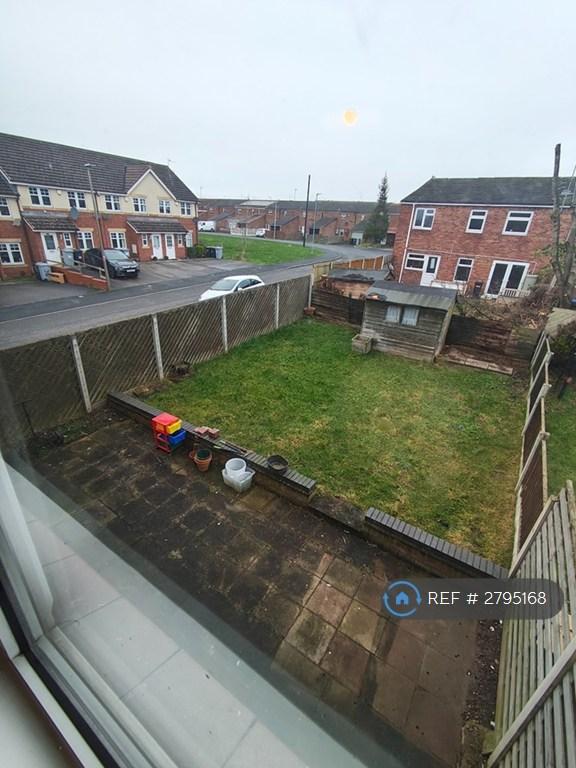 Back Garden