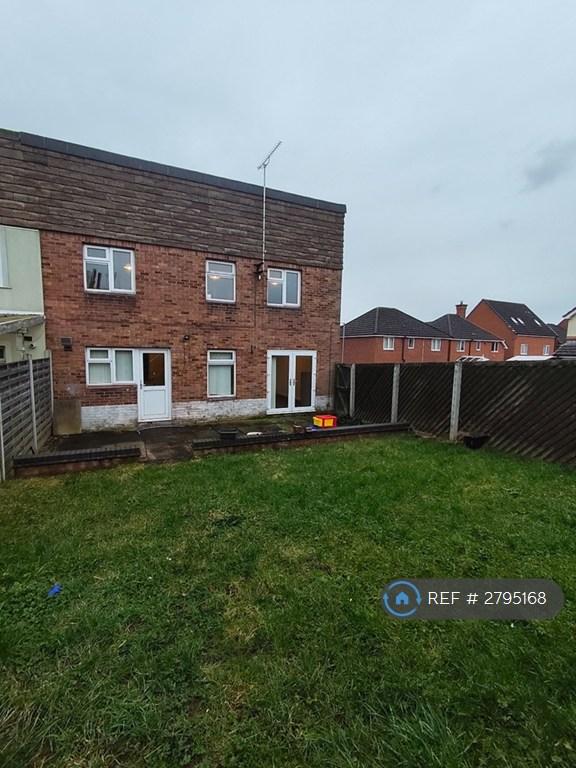 Back Garden