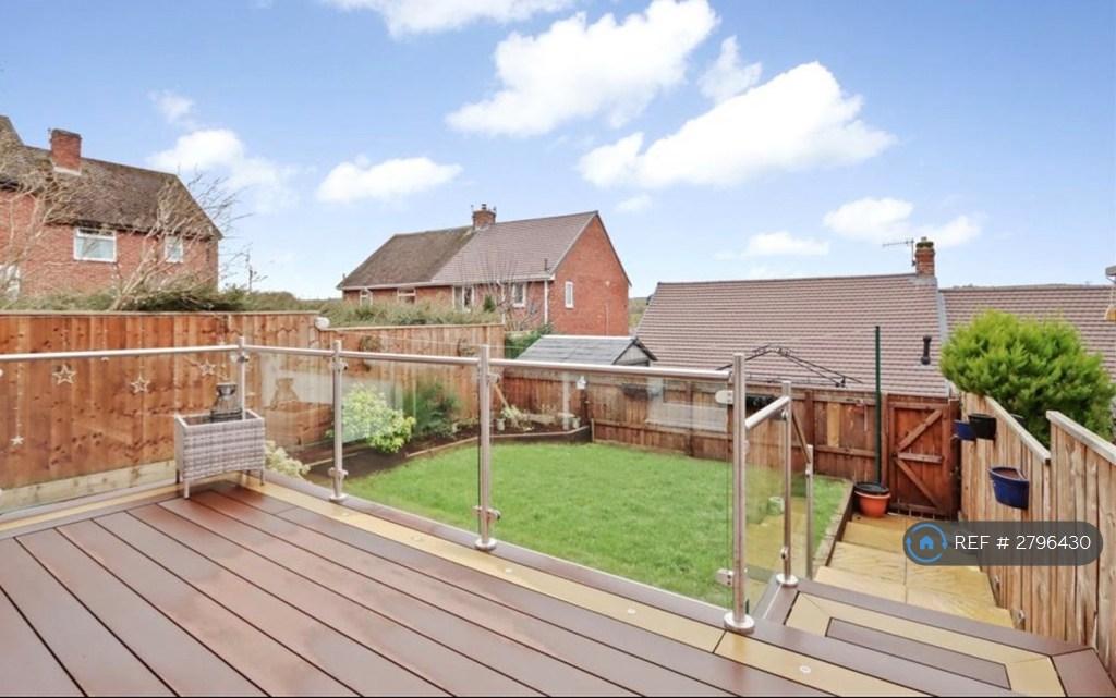 Back Garden