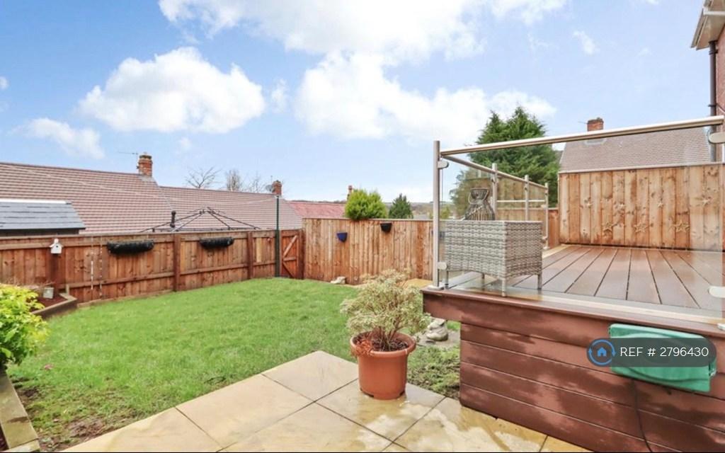 Back Garden