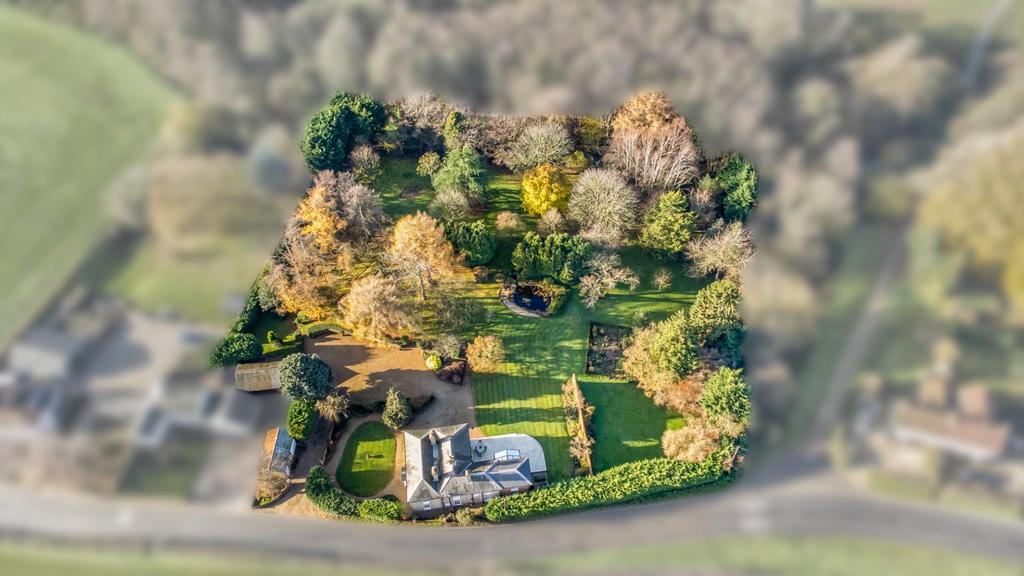 DJI 0925.jpg
