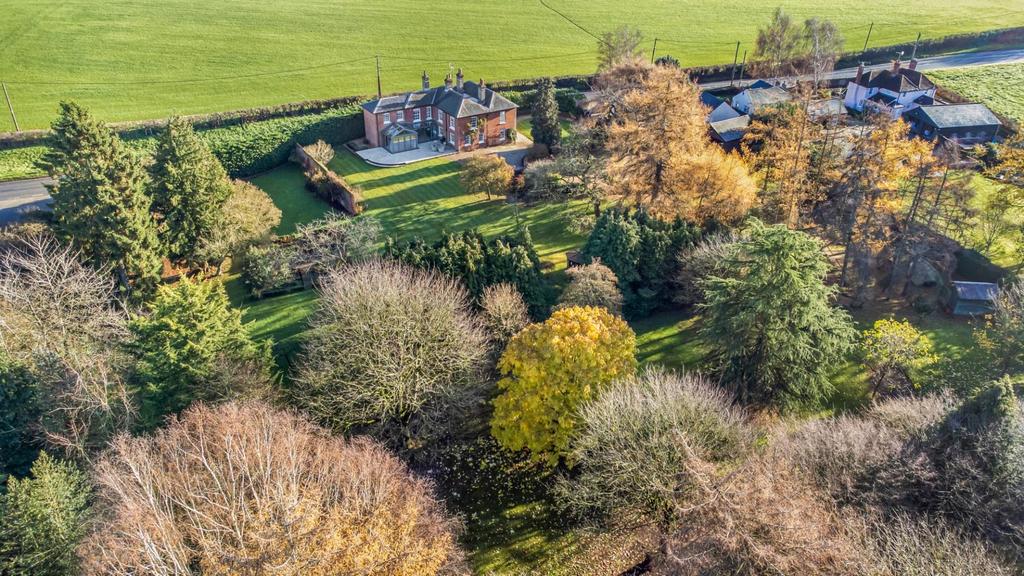 DJI 0931.jpg