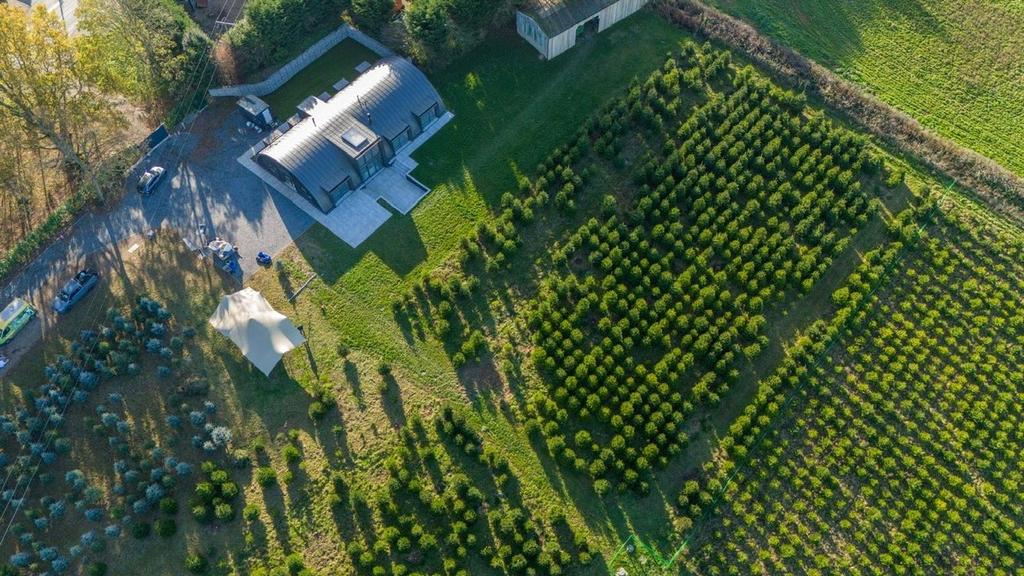 Aerial Shot