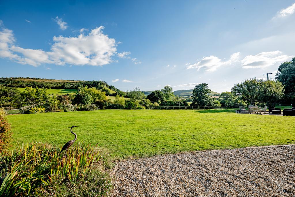Garden and View