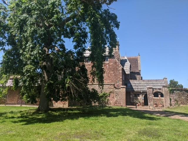 Pic 2.jpg