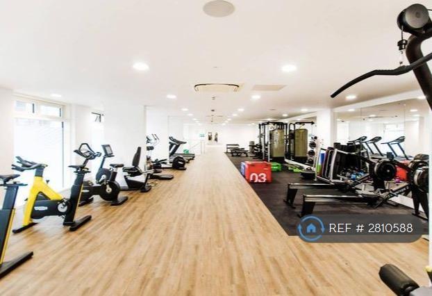 Gym And Exercise Studio