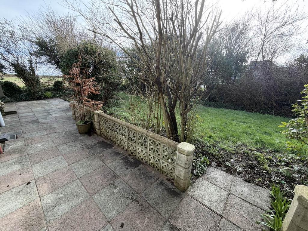 Rear garden i