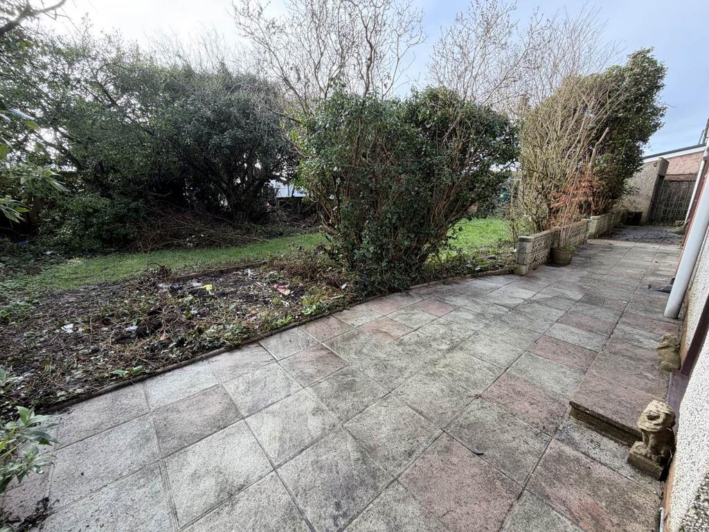 Rear garden iii