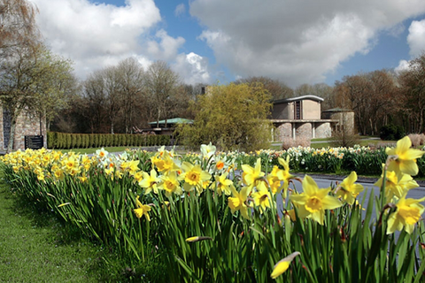 undefined, Glenwood Close, Coychurch, Coychurch, Bridgend
