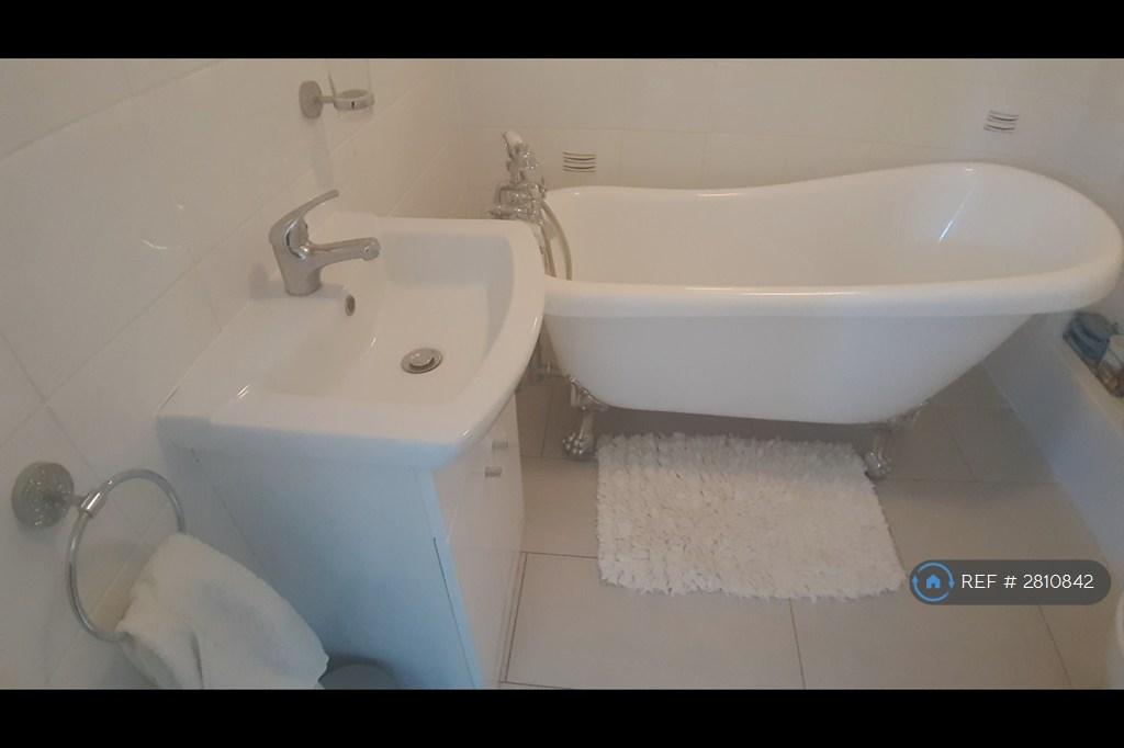 Roll Top Bath & Shower