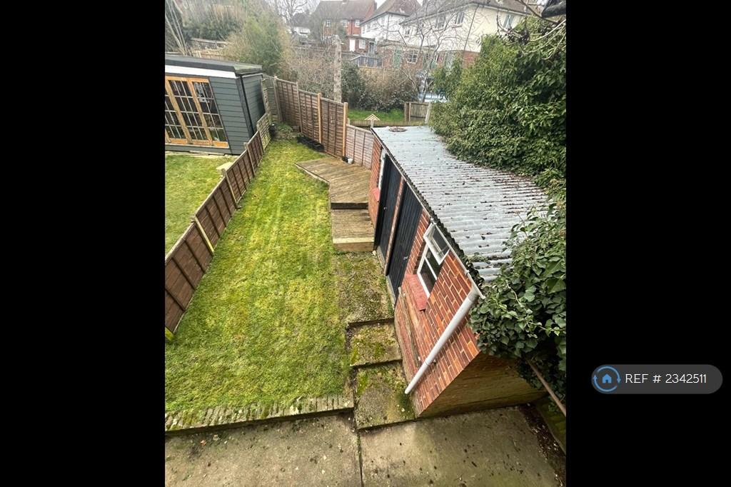 Back Garden
