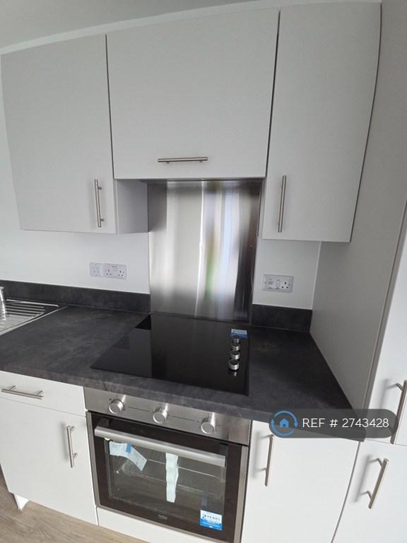Hob And Extractor