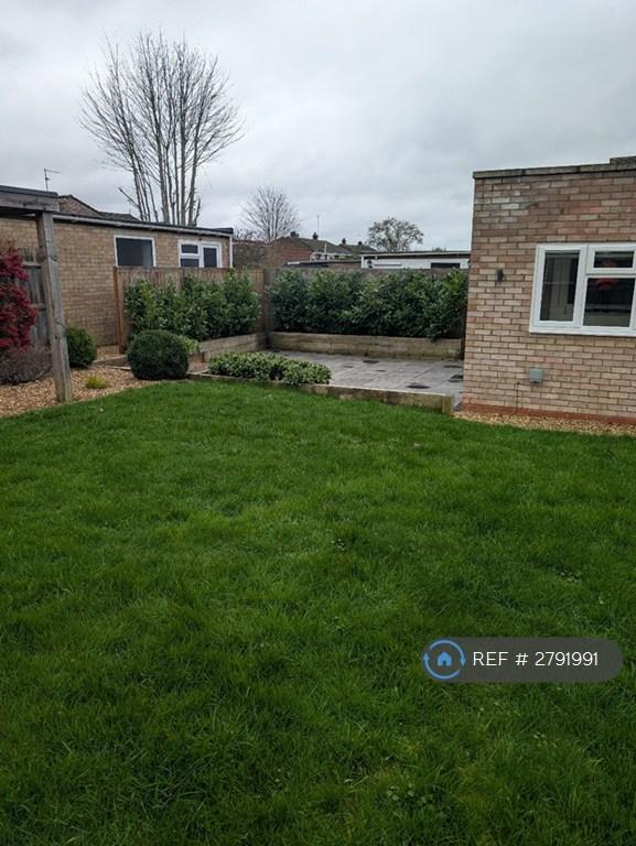 Back Garden