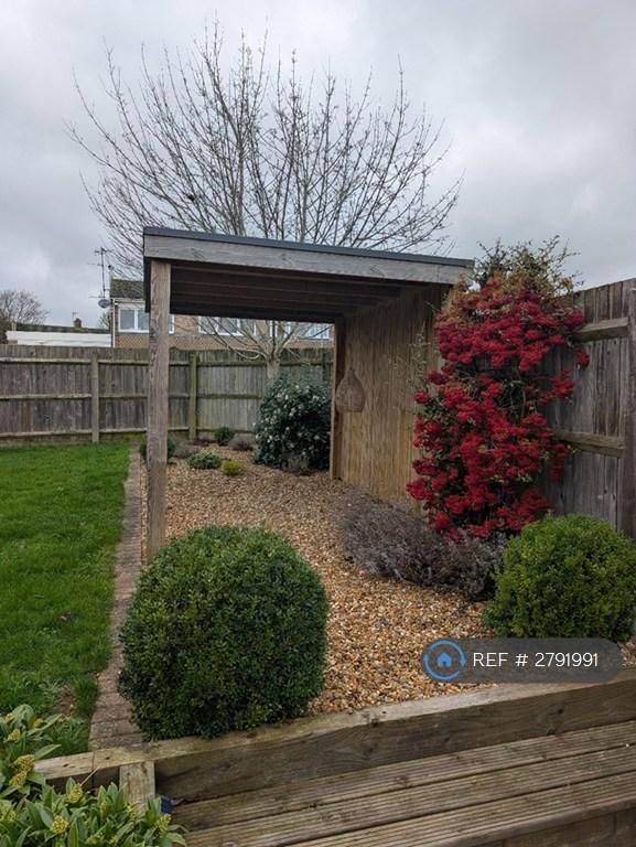 Timber Pergola