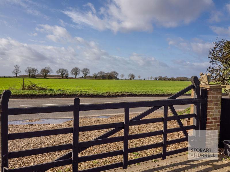 Field Views